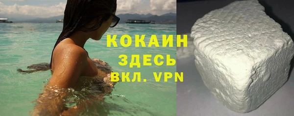 крисы Бронницы