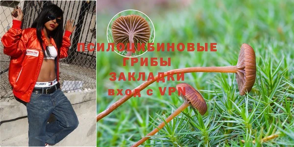 2c-b Бугульма