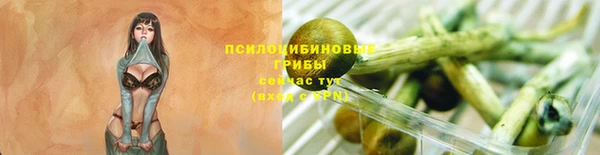 каннабис Бородино