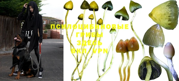 крисы Бронницы