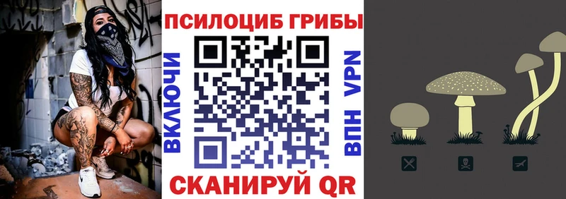 Галлюциногенные грибы Psilocybine cubensis  наркотики  Горнозаводск 
